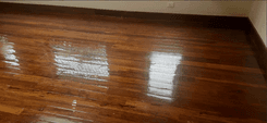 Service Image Parqueting Cleaning & Polishing