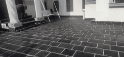 Service Image Stone Slates Cleaning & polishing