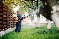 Service Image Mosquito Control Service in Nepal